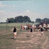 Dorf 1962