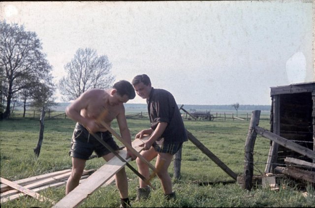 Dorf 1964