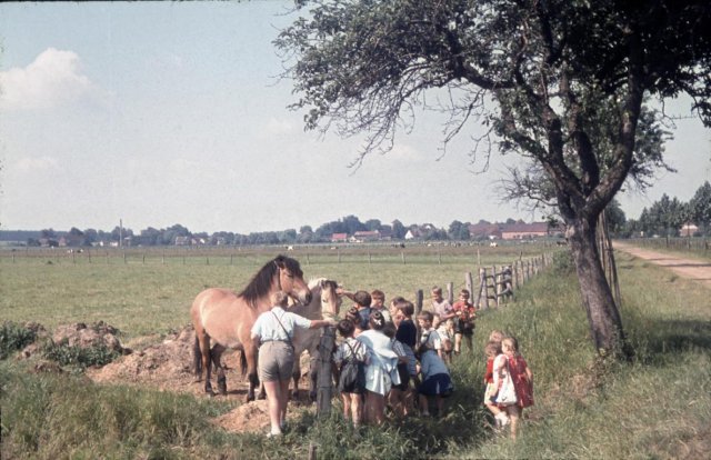 Dorf 1964