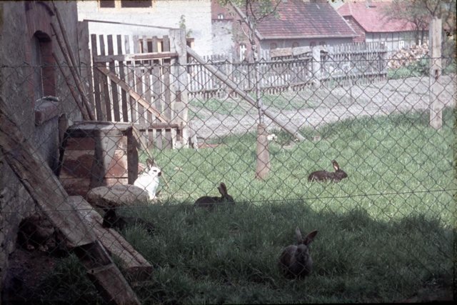 Dorf 1964