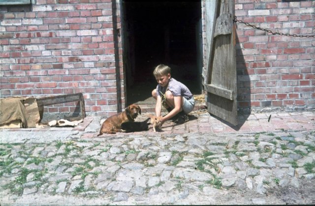 Dorf 1964