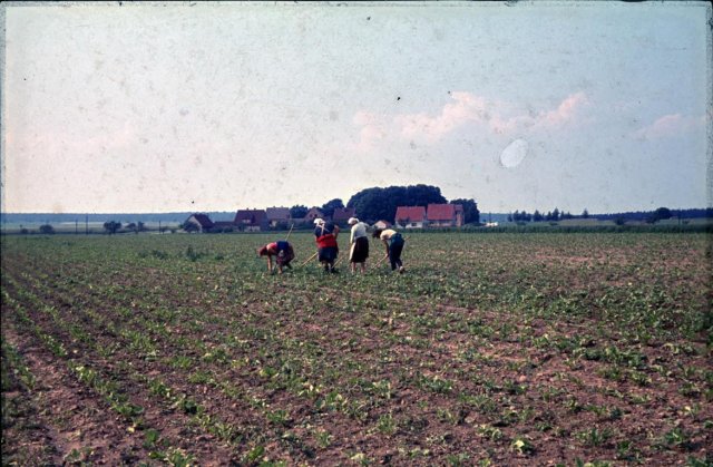 Dorf 1964