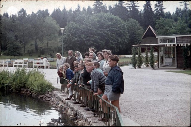 Dorf 1964