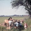 Dorf 1964