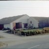 Dorf 1964