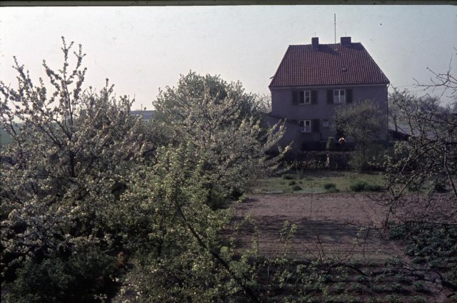 Dorf 1965