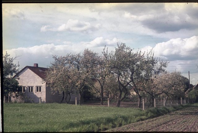 Dorf 1965