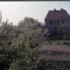 Dorf 1965