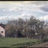 Dorf 1965