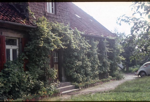 Dorf 1967