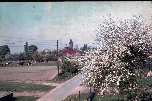 Dorf 1967