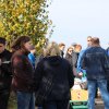 Bosseln 2013
