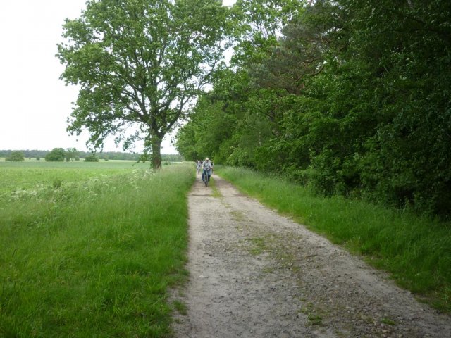 Himmelfahrt 2019