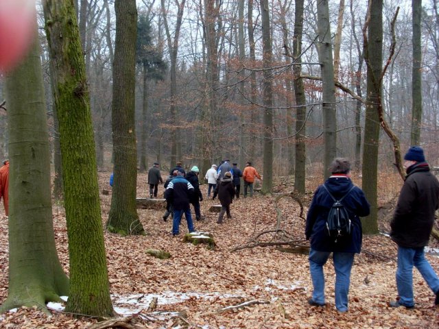 Grünkohlwanderung 2011