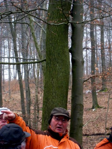Grünkohlwanderung 2011