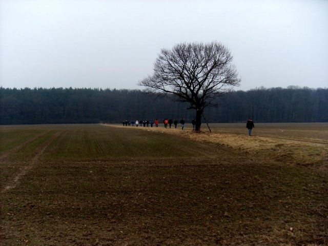 Grünkohlwanderung 2011