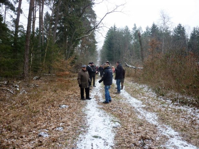 Grünkohl-wanderung 2017