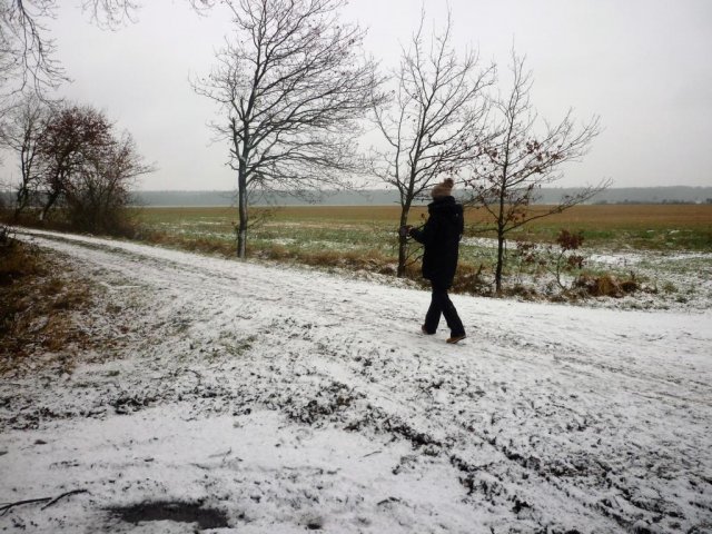 Grünkohlwanderung 2018
