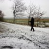 Grünkohlwanderung 2018