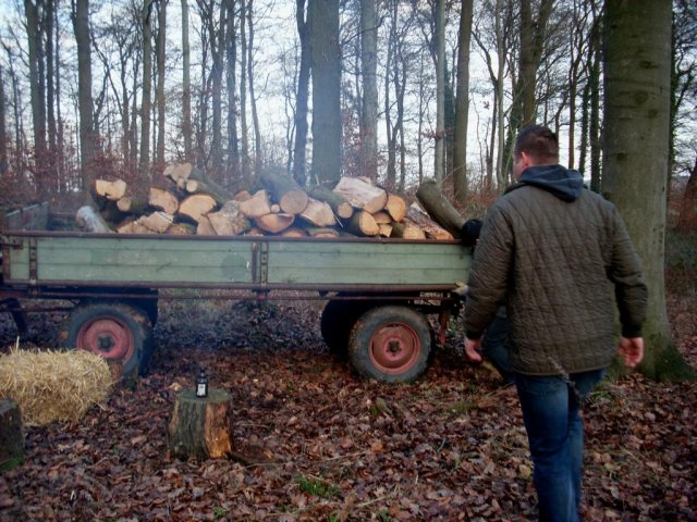 Waldfete 2011