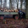 Waldfete 2011