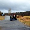 Grünkohl- wanderung 2012
