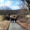 Grünkohl- wanderung 2012