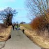 Grünkohl- wanderung 2012