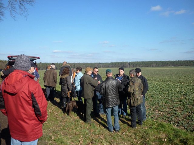 Grünkohl- wanderung 2014