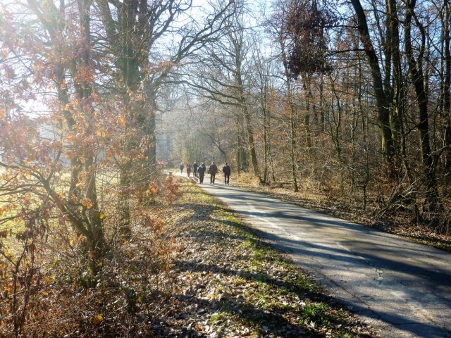 Grünkohlwanderung 2019