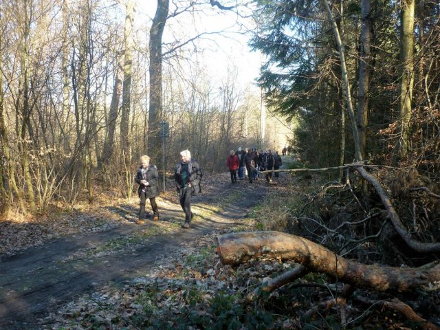 Grünkohlwanderung 2019