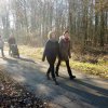 Grünkohlwanderung 2019