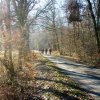 Grünkohlwanderung 2019