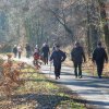 Grünkohlwanderung 2019