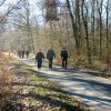 Grünkohlwanderung 2019