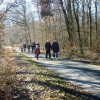 Grünkohlwanderung 2019